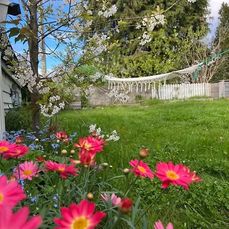 Sentrum Unique Appartamento