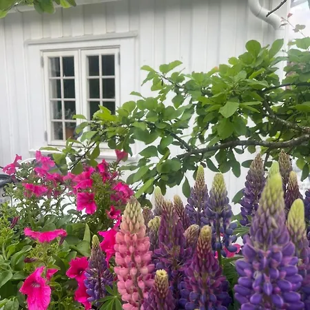 Sentrum Unique * Lillesand